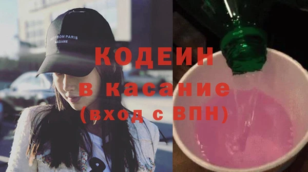 ECSTASY Бородино